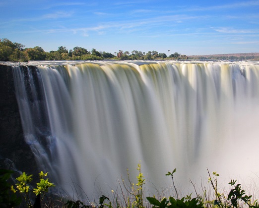 zimbabwecrop